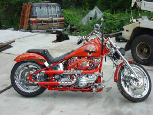 lynayrdskynayrdbike.jpg