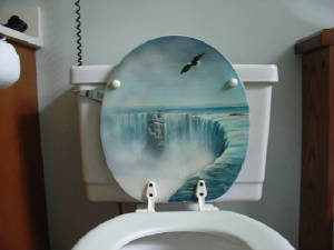 niagrafallstoiletseat.jpg